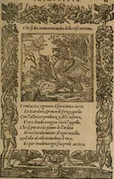 An illustration from Diverse imprese accomodate a diuerse moralità : con versi che i loro significati dichiarano : Tratte da gli Emblemi dell' Alciato (1549)