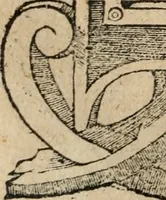 An illustration from Diverse imprese accomodate a diuerse moralità : con versi che i loro significati dichiarano : Tratte da gli Emblemi dell' Alciato (1549)