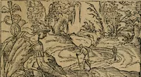 An illustration from Diverse imprese accomodate a diuerse moralità : con versi che i loro significati dichiarano : Tratte da gli Emblemi dell' Alciato (1549)
