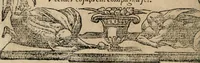 An illustration from Diverse imprese accomodate a diuerse moralità : con versi che i loro significati dichiarano : Tratte da gli Emblemi dell' Alciato (1549)