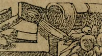 An illustration from Diverse imprese accomodate a diuerse moralità : con versi che i loro significati dichiarano : Tratte da gli Emblemi dell' Alciato (1549)
