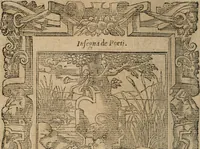 An illustration from Diverse imprese accomodate a diuerse moralità : con versi che i loro significati dichiarano : Tratte da gli Emblemi dell' Alciato (1549)