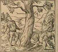 An illustration from Diverse imprese accomodate a diuerse moralità : con versi che i loro significati dichiarano : Tratte da gli Emblemi dell' Alciato (1549)
