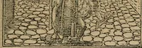 An illustration from Diverse imprese accomodate a diuerse moralità : con versi che i loro significati dichiarano : Tratte da gli Emblemi dell' Alciato (1549)