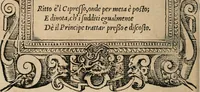 An illustration from Diverse imprese accomodate a diuerse moralità : con versi che i loro significati dichiarano : Tratte da gli Emblemi dell' Alciato (1549)