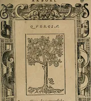 An illustration from Diverse imprese accomodate a diuerse moralità : con versi che i loro significati dichiarano : Tratte da gli Emblemi dell' Alciato (1549)