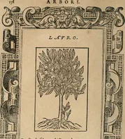 An illustration from Diverse imprese accomodate a diuerse moralità : con versi che i loro significati dichiarano : Tratte da gli Emblemi dell' Alciato (1549)