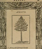 Picture 307 of 322 from Diverse imprese accomodate a diuerse moralità : con versi che i loro significati dichiarano : Tratte da gli Emblemi dell' Alciato (1549), leaf 140