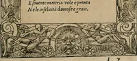 Picture 308 of 322 from Diverse imprese accomodate a diuerse moralità : con versi che i loro significati dichiarano : Tratte da gli Emblemi dell' Alciato (1549), leaf 140