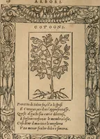An illustration from Diverse imprese accomodate a diuerse moralità : con versi che i loro significati dichiarano : Tratte da gli Emblemi dell' Alciato (1549)