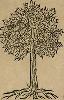 An illustration from Diverse imprese accomodate a diuerse moralità : con versi che i loro significati dichiarano : Tratte da gli Emblemi dell' Alciato (1549)