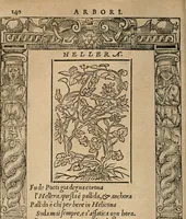 An illustration from Diverse imprese accomodate a diuerse moralità : con versi che i loro significati dichiarano : Tratte da gli Emblemi dell' Alciato (1549)