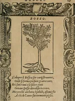 An illustration from Diverse imprese accomodate a diuerse moralità : con versi che i loro significati dichiarano : Tratte da gli Emblemi dell' Alciato (1549)