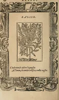 An illustration from Diverse imprese accomodate a diuerse moralità : con versi che i loro significati dichiarano : Tratte da gli Emblemi dell' Alciato (1549)