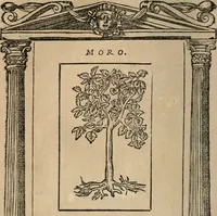 An illustration from Diverse imprese accomodate a diuerse moralità : con versi che i loro significati dichiarano : Tratte da gli Emblemi dell' Alciato (1549)