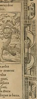 An illustration from Diverse imprese accomodate a diuerse moralità : con versi che i loro significati dichiarano : Tratte da gli Emblemi dell' Alciato (1549)