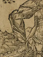 An illustration from Diverse imprese accomodate a diuerse moralità : con versi che i loro significati dichiarano : Tratte da gli Emblemi dell' Alciato (1549)
