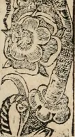 An illustration from Diverse imprese accomodate a diuerse moralità : con versi che i loro significati dichiarano : Tratte da gli Emblemi dell' Alciato (1549)