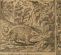 An illustration from Diverse imprese accomodate a diuerse moralità : con versi che i loro significati dichiarano : Tratte da gli Emblemi dell' Alciato (1549)