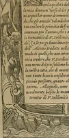 An illustration from Diverse imprese accomodate a diuerse moralità : con versi che i loro significati dichiarano : Tratte da gli Emblemi dell' Alciato (1549)