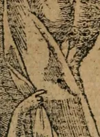 An illustration from Diverse imprese accomodate a diuerse moralità : con versi che i loro significati dichiarano : Tratte da gli Emblemi dell' Alciato (1549)