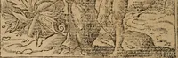 An illustration from Diverse imprese accomodate a diuerse moralità : con versi che i loro significati dichiarano : Tratte da gli Emblemi dell' Alciato (1549)