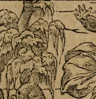 Picture 190 of 322 from Diverse imprese accomodate a diuerse moralità : con versi che i loro significati dichiarano : Tratte da gli Emblemi dell' Alciato (1549), leaf 86