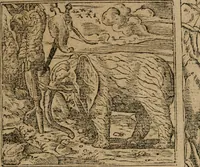 Picture 201 of 322 from Diverse imprese accomodate a diuerse moralità : con versi che i loro significati dichiarano : Tratte da gli Emblemi dell' Alciato (1549), leaf 90