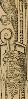 Picture 231 of 344 from Diverse imprese accommodate a diuerse moralità : con versi che i loro significati dichiarano : tratte da gli emblemi dell'Alciato (1549), leaf 104