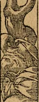 Picture 249 of 344 from Diverse imprese accommodate a diuerse moralità : con versi che i loro significati dichiarano : tratte da gli emblemi dell'Alciato (1549), leaf 111