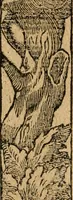Picture 250 of 344 from Diverse imprese accommodate a diuerse moralità : con versi che i loro significati dichiarano : tratte da gli emblemi dell'Alciato (1549), leaf 111