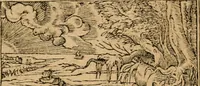 An illustration from Diverse imprese accommodate a diuerse moralità : con versi che i loro significati dichiarano : tratte da gli emblemi dell'Alciato (1549)