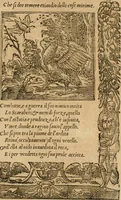 Picture 261 of 344 from Diverse imprese accommodate a diuerse moralità : con versi che i loro significati dichiarano : tratte da gli emblemi dell'Alciato (1549), leaf 114