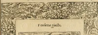 Picture 264 of 344 from Diverse imprese accommodate a diuerse moralità : con versi che i loro significati dichiarano : tratte da gli emblemi dell'Alciato (1549), leaf 116