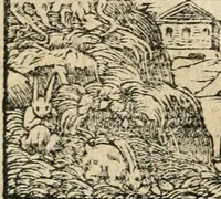 Picture 269 of 344 from Diverse imprese accommodate a diuerse moralità : con versi che i loro significati dichiarano : tratte da gli emblemi dell'Alciato (1549), leaf 117
