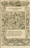 Picture 271 of 344 from Diverse imprese accommodate a diuerse moralità : con versi che i loro significati dichiarano : tratte da gli emblemi dell'Alciato (1549), leaf 118