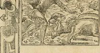Picture 273 of 344 from Diverse imprese accommodate a diuerse moralità : con versi che i loro significati dichiarano : tratte da gli emblemi dell'Alciato (1549), leaf 119