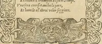 Picture 277 of 344 from Diverse imprese accommodate a diuerse moralità : con versi che i loro significati dichiarano : tratte da gli emblemi dell'Alciato (1549), leaf 120