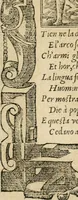 Picture 287 of 344 from Diverse imprese accommodate a diuerse moralità : con versi che i loro significati dichiarano : tratte da gli emblemi dell'Alciato (1549), leaf 124