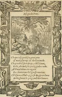 Picture 289 of 344 from Diverse imprese accommodate a diuerse moralità : con versi che i loro significati dichiarano : tratte da gli emblemi dell'Alciato (1549), leaf 125