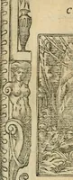 Picture 308 of 344 from Diverse imprese accommodate a diuerse moralità : con versi che i loro significati dichiarano : tratte da gli emblemi dell'Alciato (1549), leaf 132