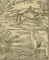 Picture 309 of 344 from Diverse imprese accommodate a diuerse moralità : con versi che i loro significati dichiarano : tratte da gli emblemi dell'Alciato (1549), leaf 132