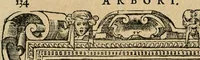 Picture 320 of 344 from Diverse imprese accommodate a diuerse moralità : con versi che i loro significati dichiarano : tratte da gli emblemi dell'Alciato (1549), leaf 137
