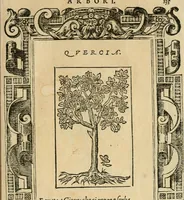 Picture 324 of 344 from Diverse imprese accommodate a diuerse moralità : con versi che i loro significati dichiarano : tratte da gli emblemi dell'Alciato (1549), leaf 138