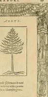 An illustration from Diverse imprese accommodate a diuerse moralità : con versi che i loro significati dichiarano : tratte da gli emblemi dell'Alciato (1549)