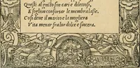 Picture 330 of 344 from Diverse imprese accommodate a diuerse moralità : con versi che i loro significati dichiarano : tratte da gli emblemi dell'Alciato (1549), leaf 141