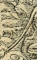 Picture 33 of 344 from Diverse imprese accommodate a diuerse moralità : con versi che i loro significati dichiarano : tratte da gli emblemi dell'Alciato (1549), leaf 17