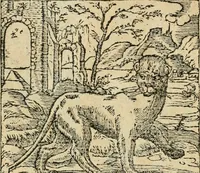 Picture 34 of 344 from Diverse imprese accommodate a diuerse moralità : con versi che i loro significati dichiarano : tratte da gli emblemi dell'Alciato (1549), leaf 17