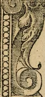Picture 45 of 344 from Diverse imprese accommodate a diuerse moralità : con versi che i loro significati dichiarano : tratte da gli emblemi dell'Alciato (1549), leaf 21
