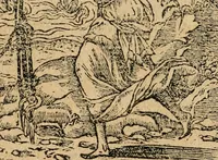 Picture 66 of 344 from Diverse imprese accommodate a diuerse moralità : con versi che i loro significati dichiarano : tratte da gli emblemi dell'Alciato (1549), leaf 31